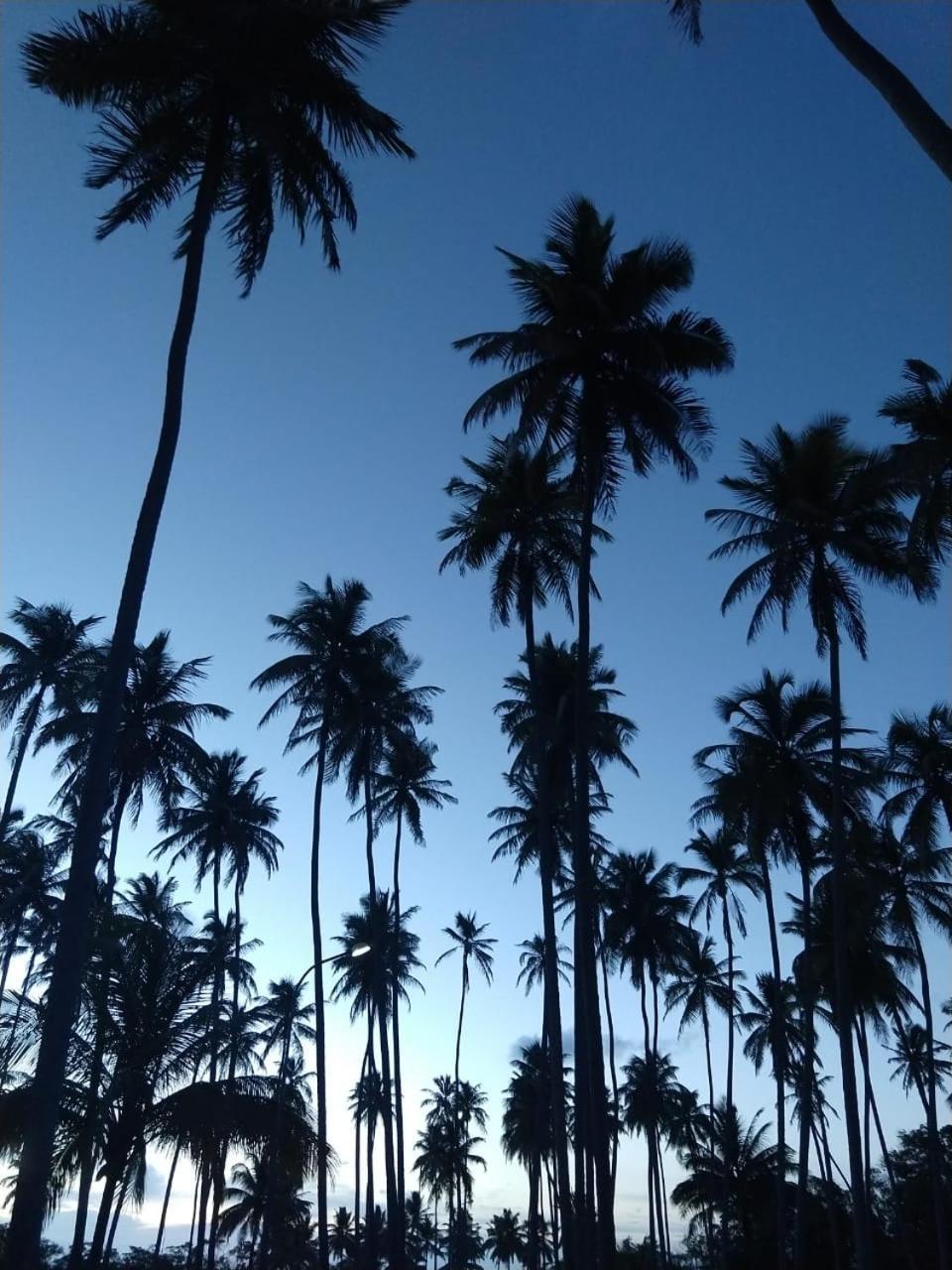 Hotel D'Anatureza Maceió Exteriör bild